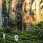 Nine-Arch-Ella-730x496