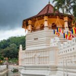 pexels-chathura-anuradha-subasinghe-599124-14041994-1-730x496